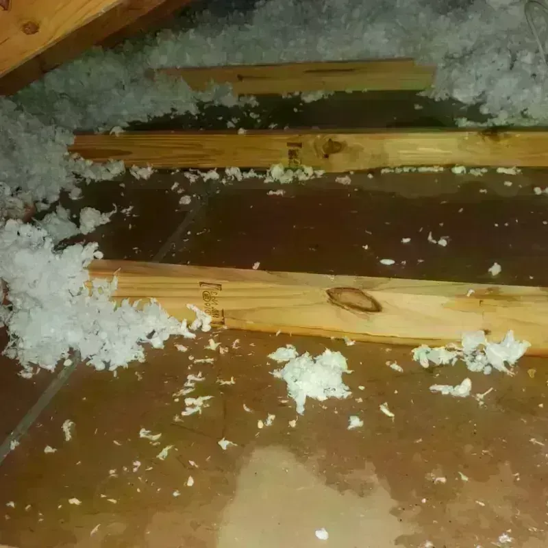 Attic Water Damage in Franklin County, VA