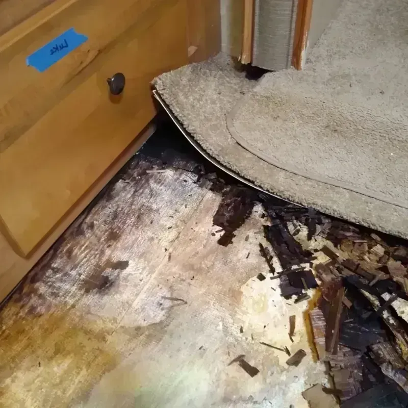 Wood Floor Water Damage in Franklin County, VA